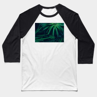 Green Leaves with a Tiny Red Beetle Baseball T-Shirt